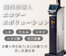 エコツーエボリューション