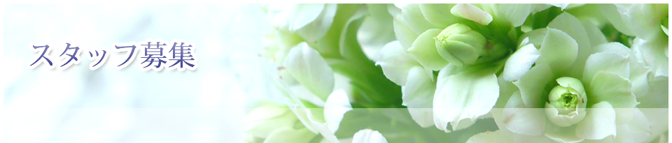 スタッフ募集